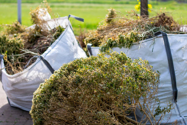 Debris Removal in Lagrange, GA